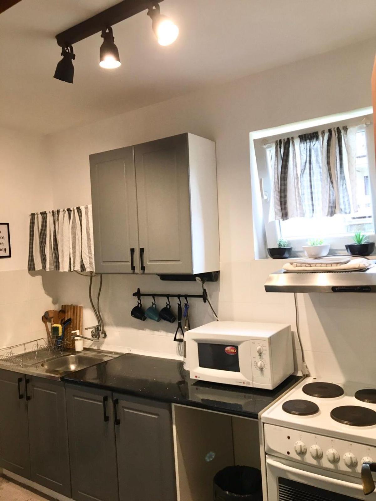 Apartment Dunjic Vrnjačka Banja Exteriör bild